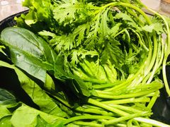 -渡娘火锅(大兴大悦春风里店)