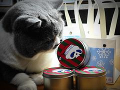 -不作·手工银饰DIY(西红门店)