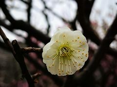 -北京明城墙遗址公园