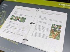 -云溪植物园