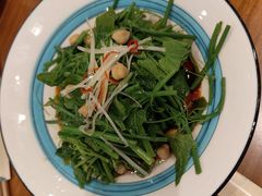 清炒南瓜尖儿-巴依老爷新疆美食(常营店)