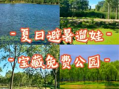 -东郊湿地公园