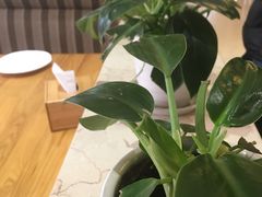 -原鄉本味 楚菜 丹江口鱼(北苑店)