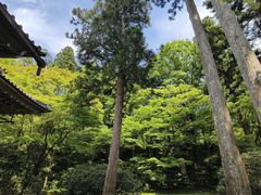 -三千院