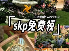 -北京SKP