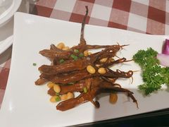 -邓丽君音乐主题餐厅