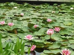 -金银湖国家城市湿地公园