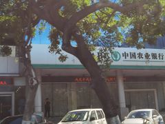 -金砂公园