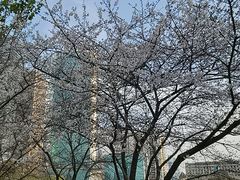 -西北湖绿化广场
