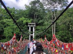 -西双版纳原始森林公园