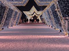 -长春世界雕塑园冰雪艺术天地