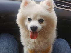 -萌兽医馆·宠物医院·猫骨科(创景店)