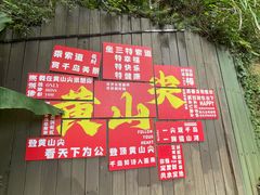-千岛湖东南湖区