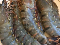 -火舞泰·泰式海鲜火锅餐厅(世纪城店)