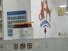 -美美宠物诊疗中心·异宠·骨科(滨江东信分院)