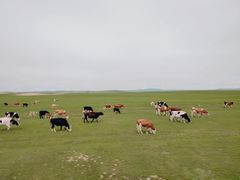 -186彩带河