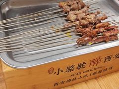 -福苗小骆驼烧烤(莲湖路店)
