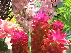 -BEAST野兽派(上海浦东嘉里城店)