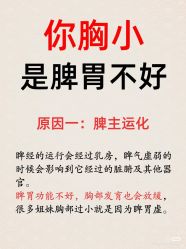点击看大图 -玛莲朵·海菲秀冰珀科