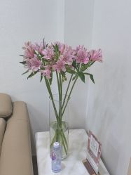 -北京叶子整形美容医院