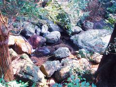 -东天目山风景区