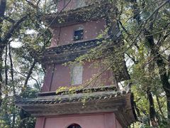 -阿育王寺