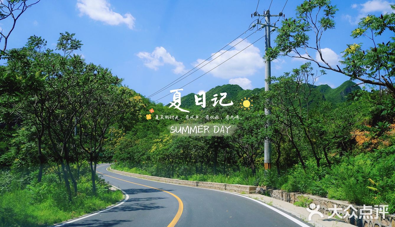 🍃夏日记🍃你爱上温热的空气了吗❓