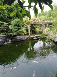 -长沙小顽国景区
