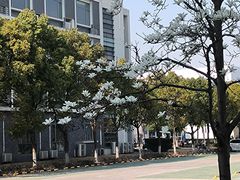 -上海海事大学(临港校区)