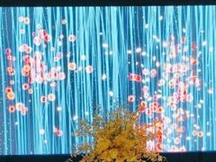 -星漾里•SPA•足道•按摩•养生(吕厝店)