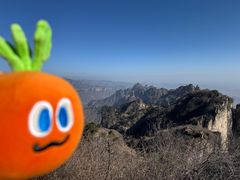 -王莽岭风景区