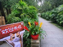 -广州兰圃