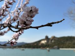 -颐和园