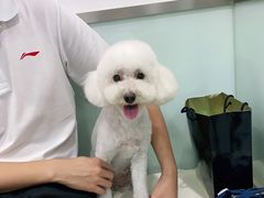 -宠福鑫康馨动物医院·骨科·眼科