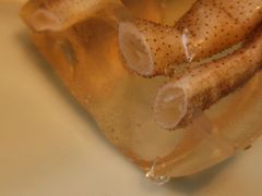 -八闽饭店闽南小镇(铁西店)