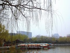 -莲花池公园