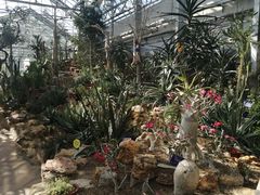 -国家植物园南园