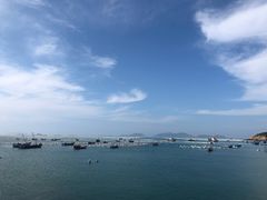 -枸杞岛