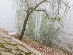 -李公堤