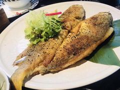 -花见无国界料理(科林楼店)