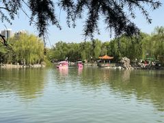 -西苑公园