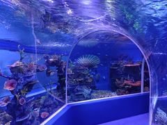 -上海大自然野生昆虫馆(东方明珠·爬宠昆虫探索中心)