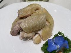 -蝶园·装修中(BFC外滩金融中心店)