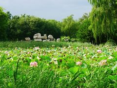 -东升八家郊野公园