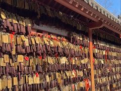 -横山寺