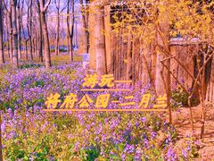 -将府公园
