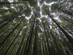 -山王坪喀斯特国家生态公园