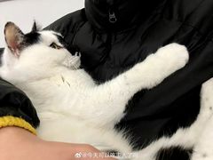 -味千拉面(光启城时尚购物中心店)