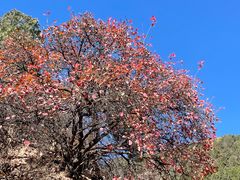 -北京西山国家森林公园