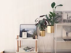 -隹木咖啡馆(宝龙广场店)